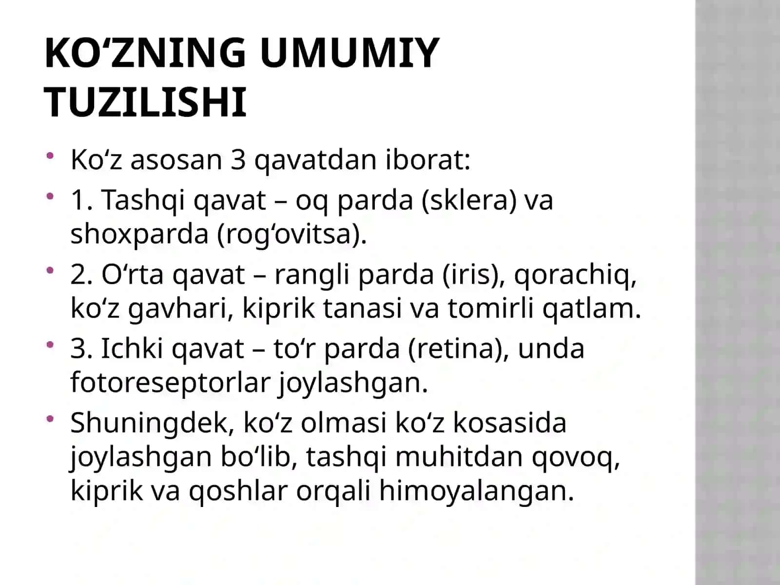 Ko‘zfiziologiyasi 3