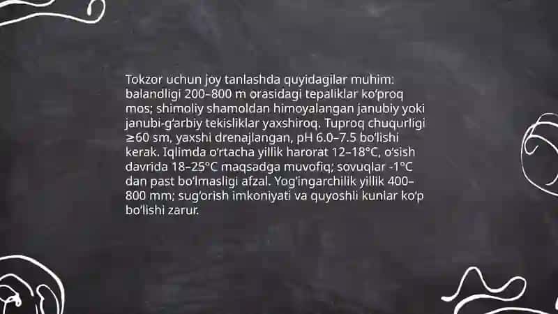 Tokni ko‘paytirish va tokzorlar barpo qilish 3