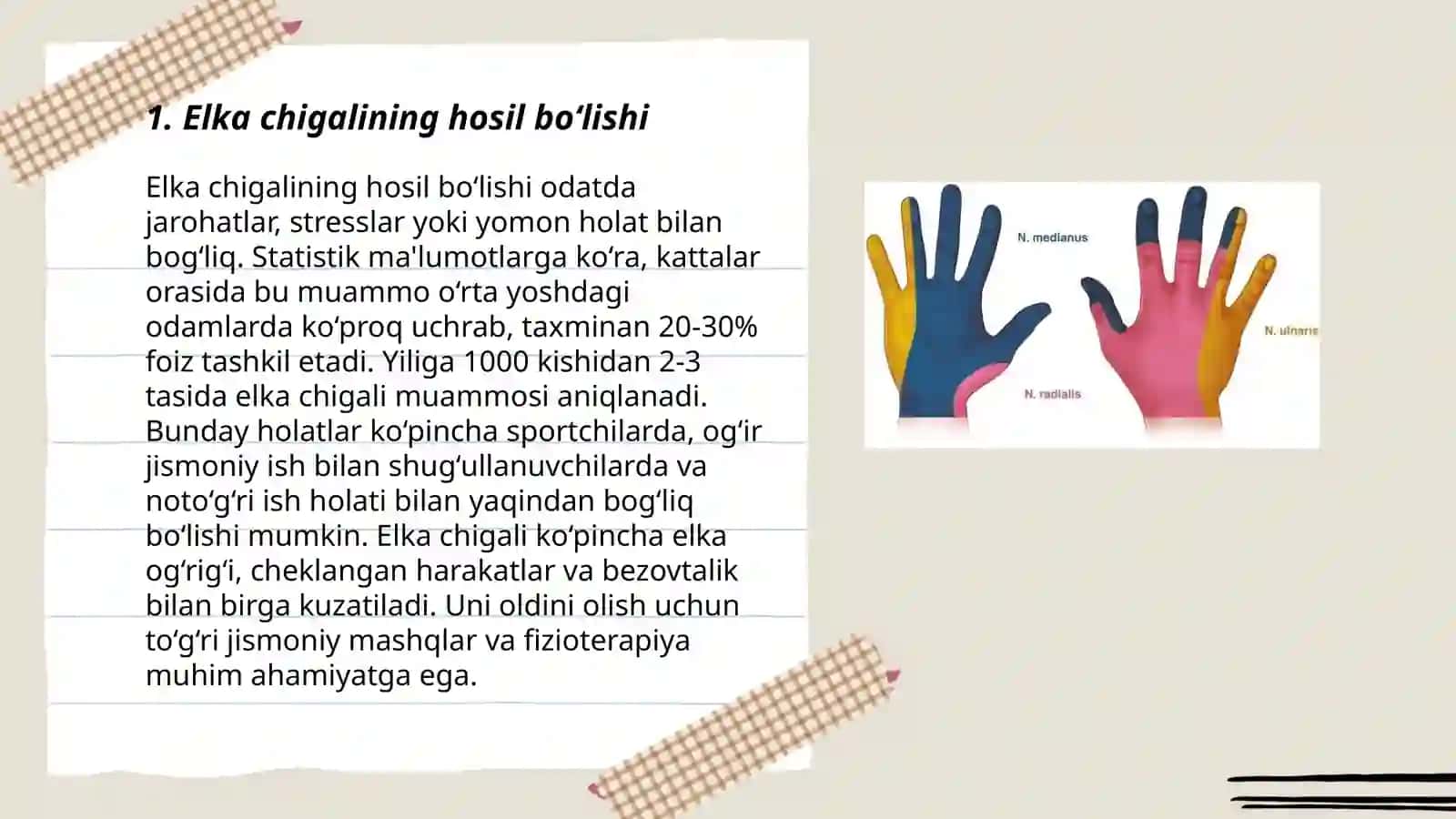 Elka chigalining hosil bo‘lishi va uning qisqa shoxlari. Elka chigalining uzun shoxlari. Qo‘l terisining innervatsiyasi 3