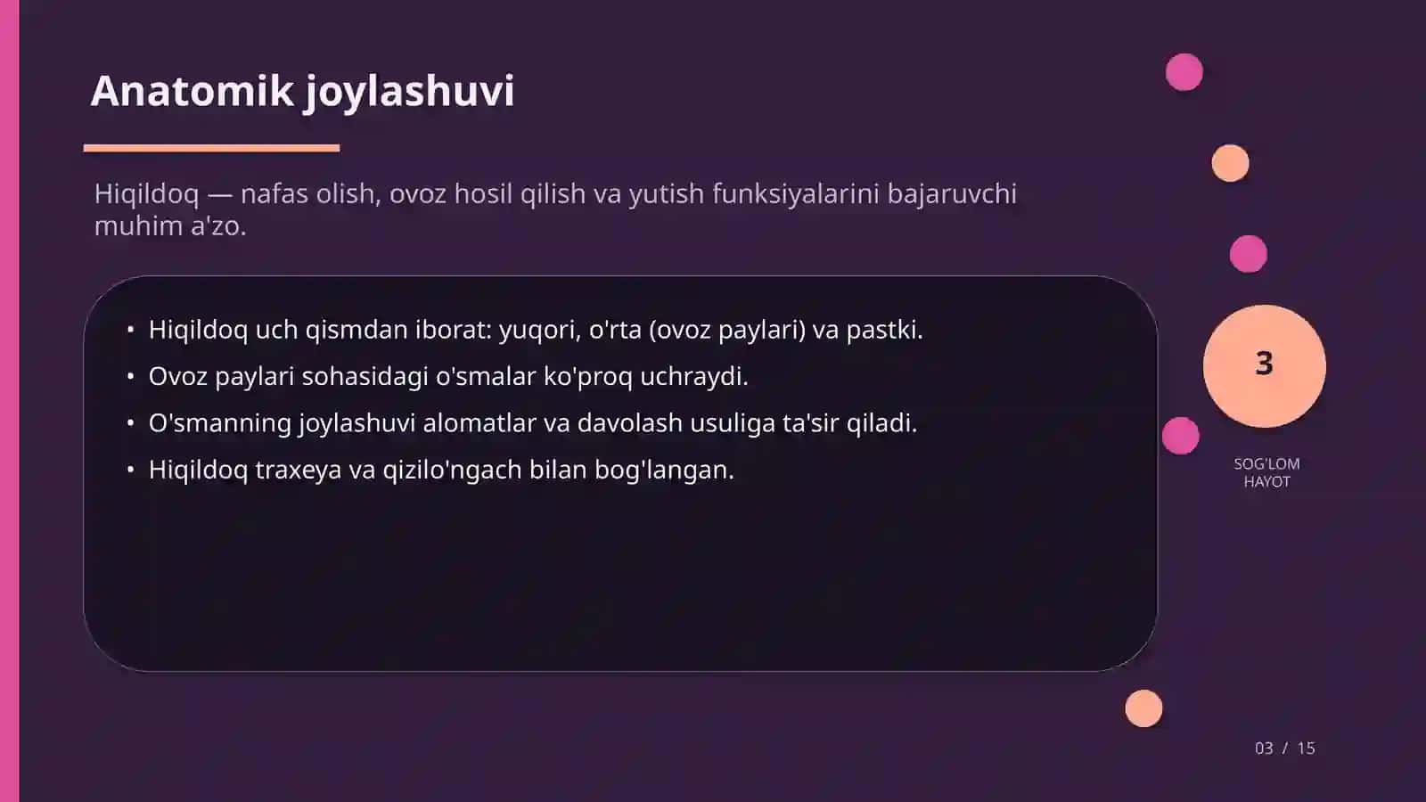 HIQILDOQ SARATONI 3