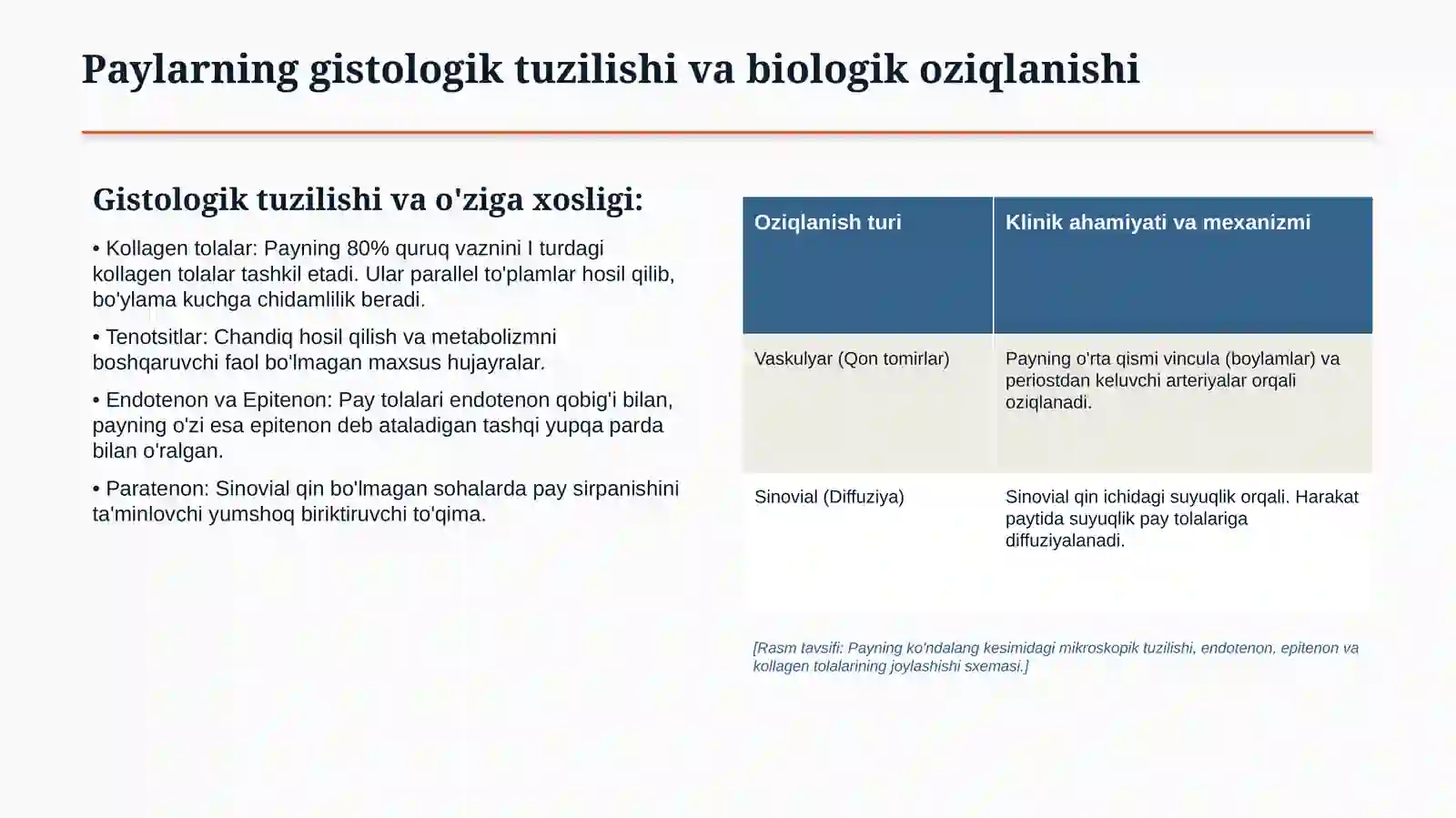 Qo‘l-oyoq barmoqlari paylari shikastlanishlari | 15 slaydli tibbiy taqdimot 3