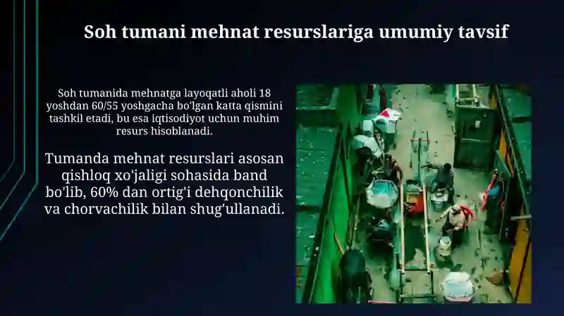 Soʻx tumanida mehnat resurslari va bandlik 3