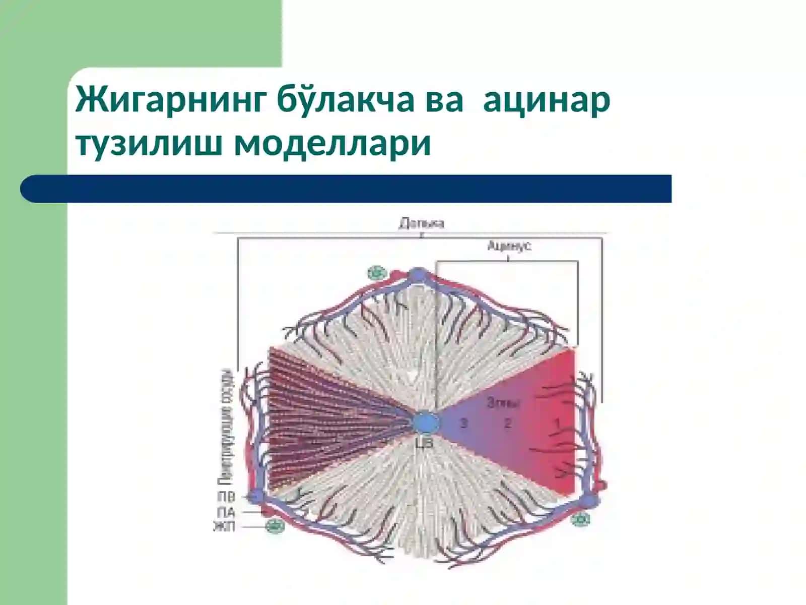 Маъруза18 3