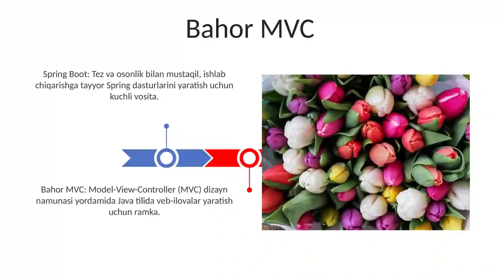 Bahor MVC 3