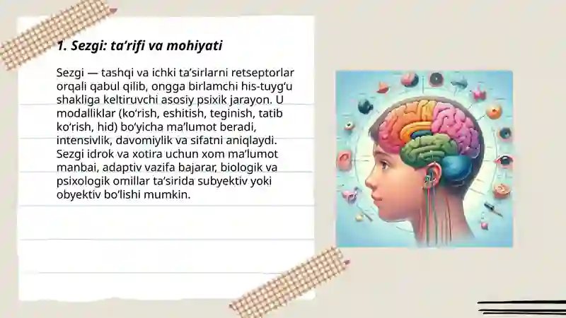 Sezgi 3