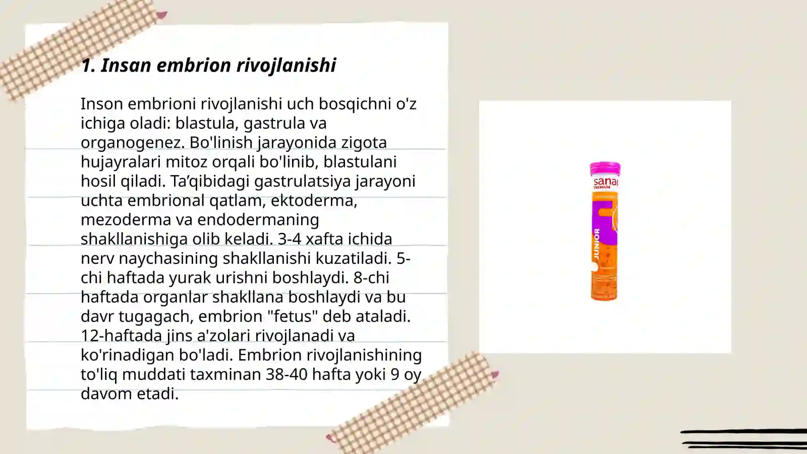 Preview 3