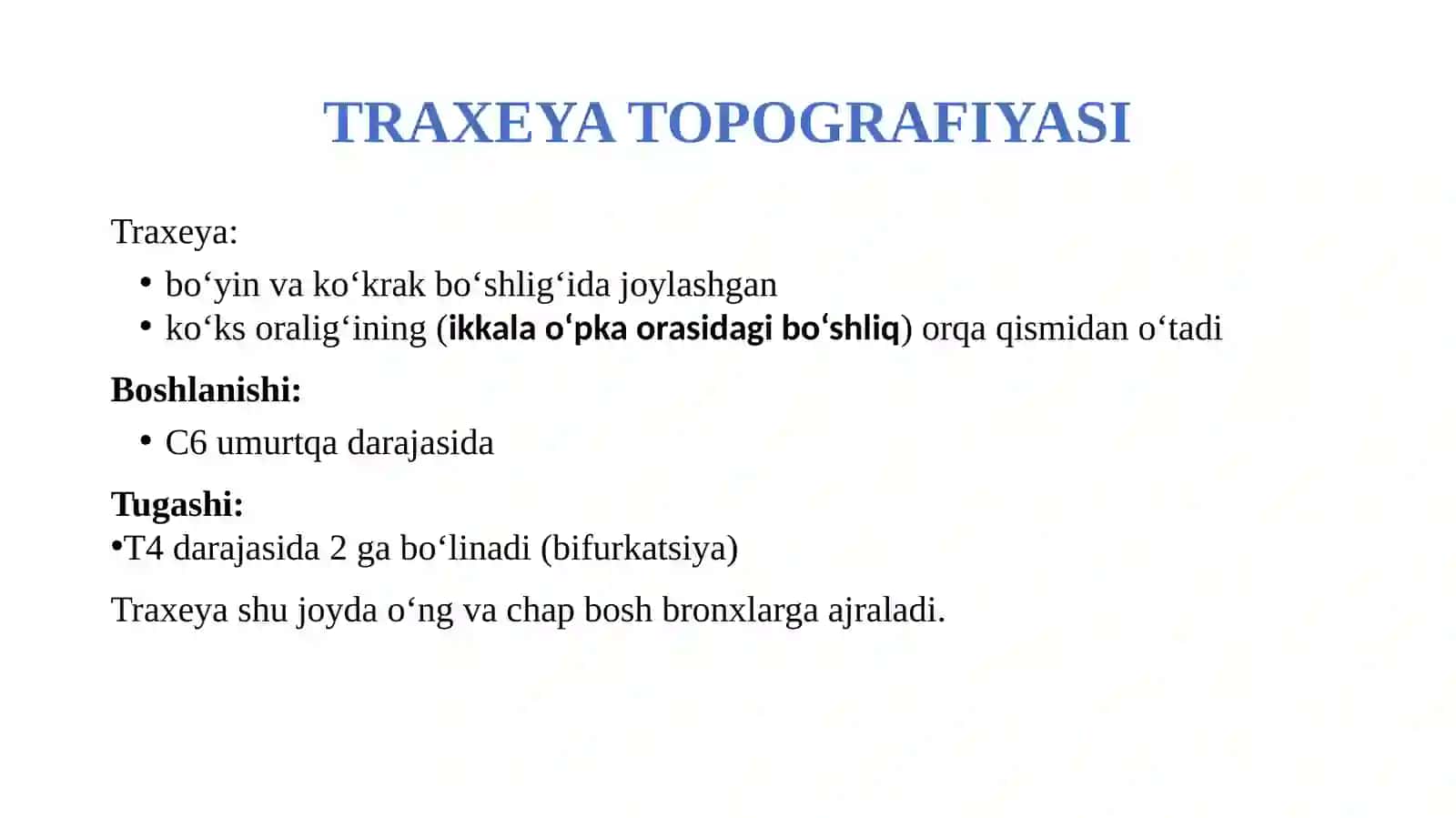 Traxeya va bronxlar. Bronx daraxti va alveolalar tuzilishi 3