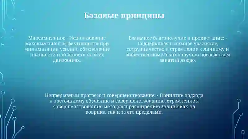 Дзюдо 3