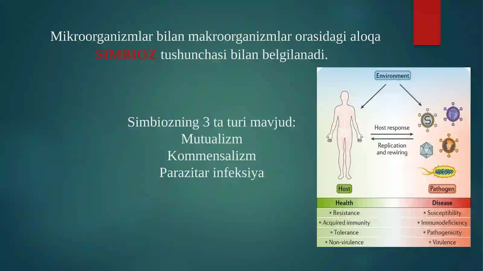 Infeksiyavainfeksionjarayonlar 3