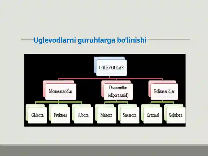 Uglevodlar 3