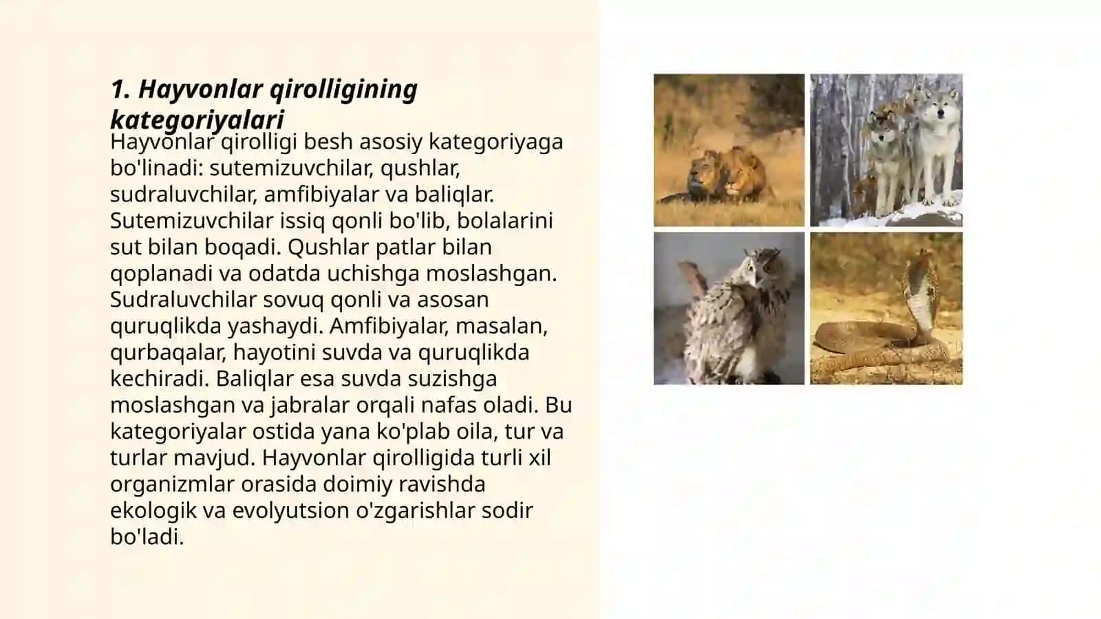 Hayvonlar qirolligining kategoriyalari 3