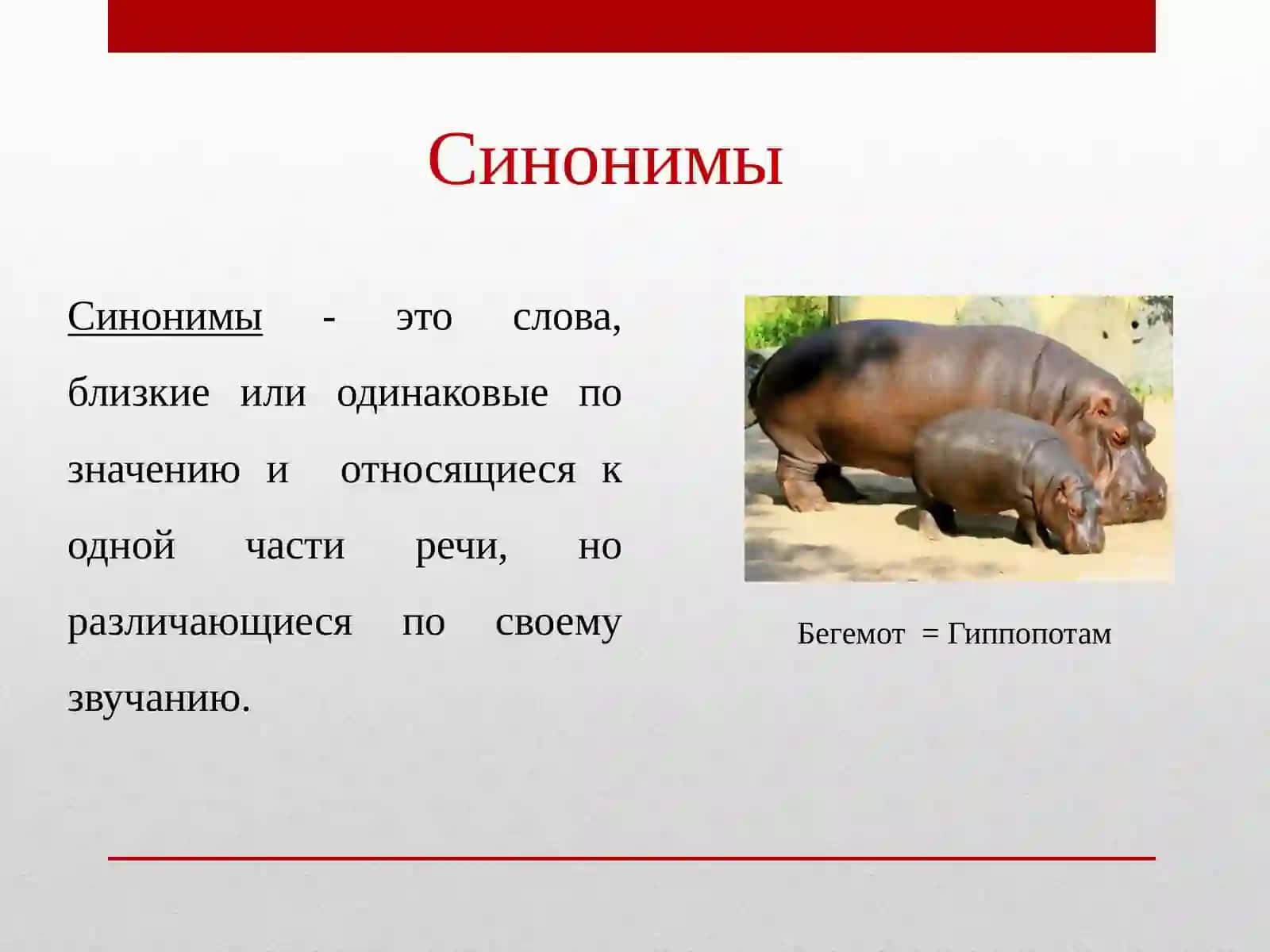 Лексическоебогатство русского языка (синонимы, антонимы, омонимы) 3