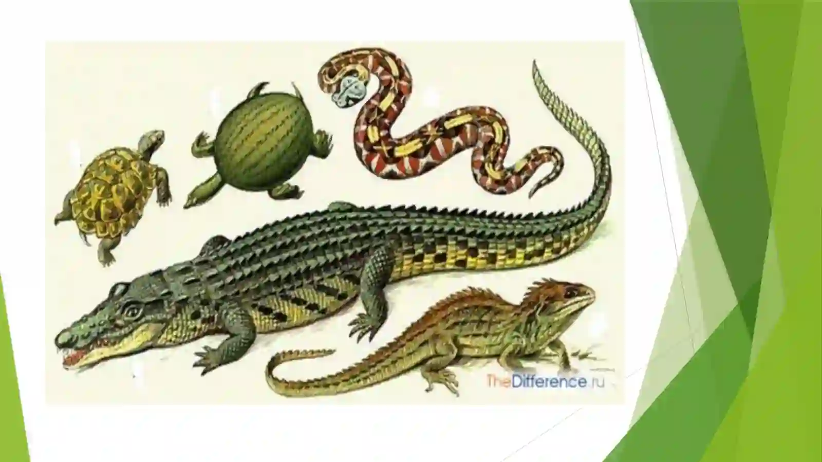 Sudralib yuruvchilar sinfi 3