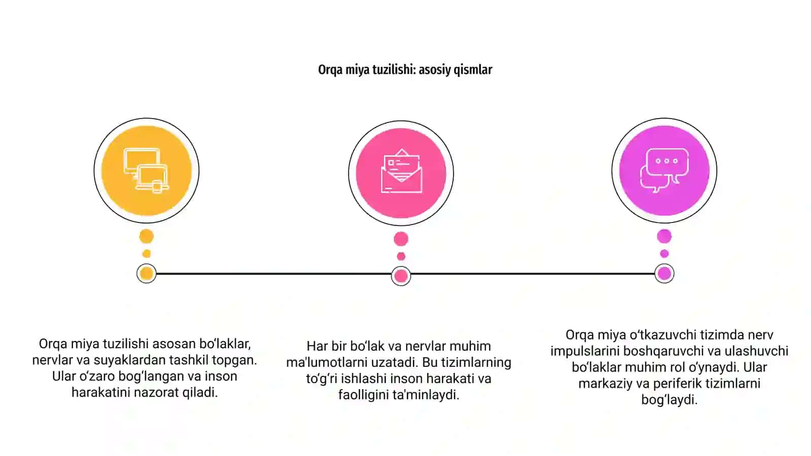 Orqa miya tuzilishi va oʻtkazuvchi tizimlari 3