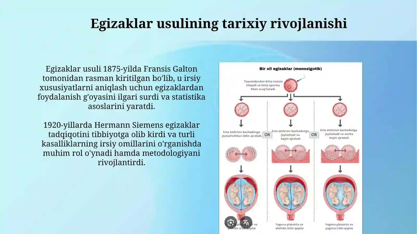 Egizaklar usuli: Ta'rif va asosiy tushunchalar 3