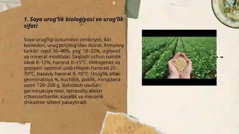 Soya biologiyasi va yetishtirish texnologiyasi 3