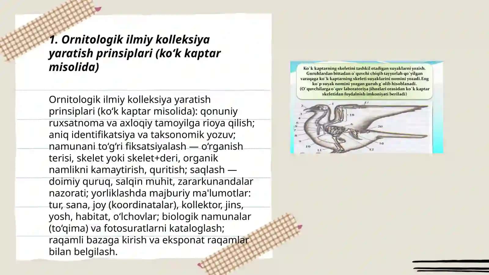 Qushlarning tana qismlarini fiksasiyalash 3