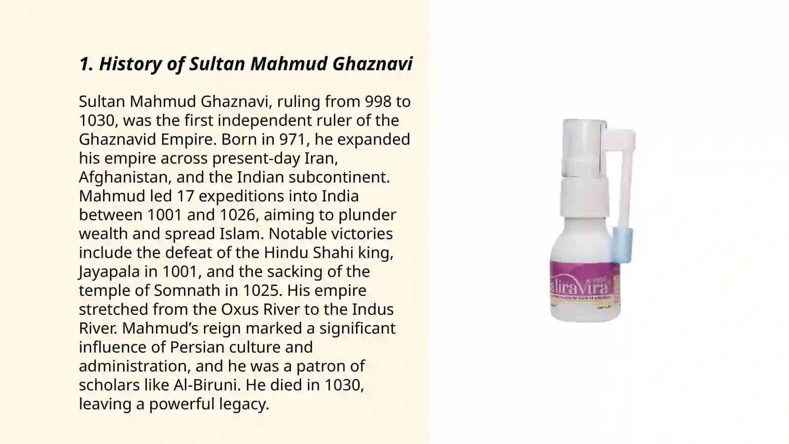 Sultan Mahmud Ghaznavi 3