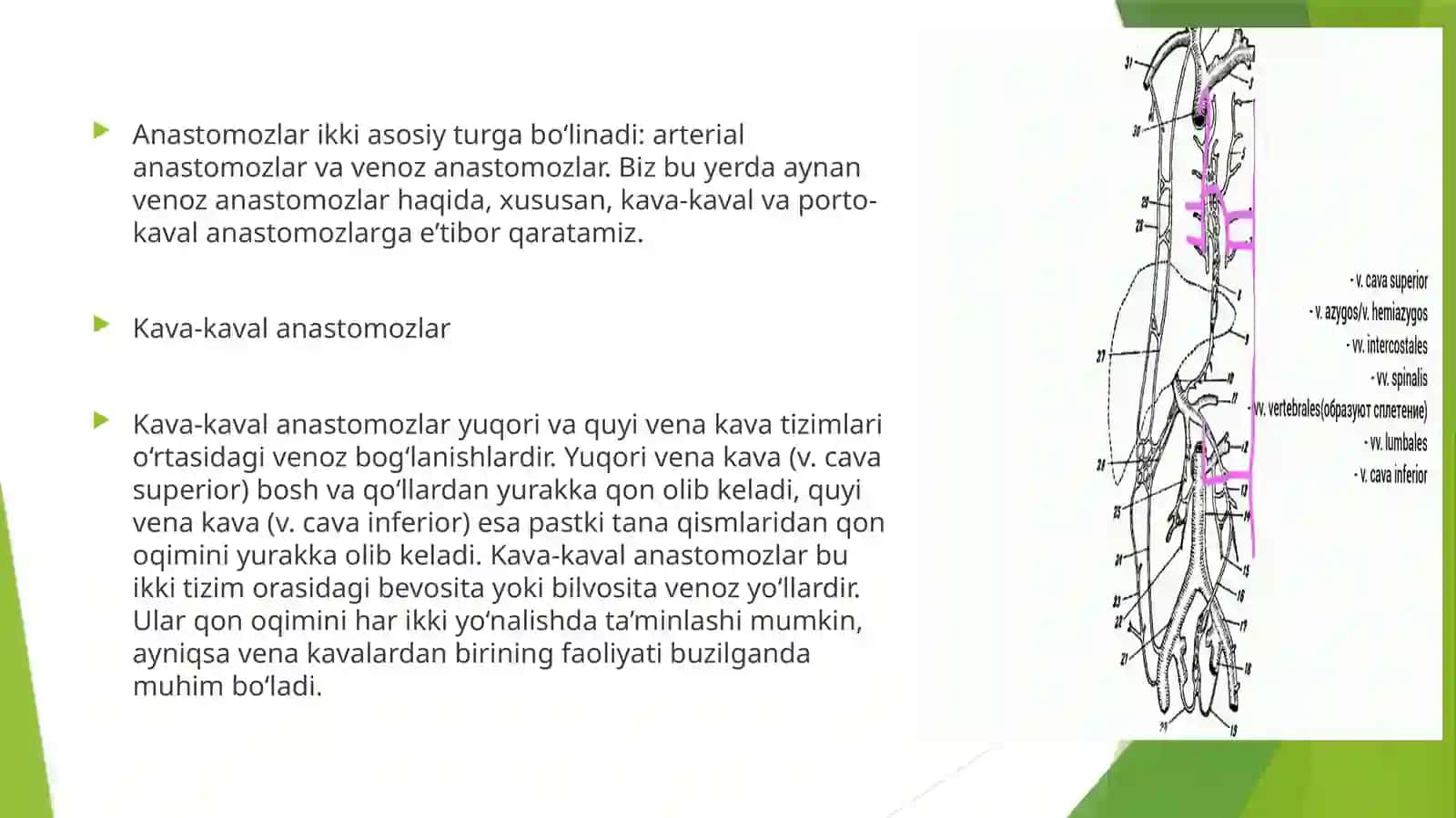Kava-kavalporto-kavalanastamozlar 3