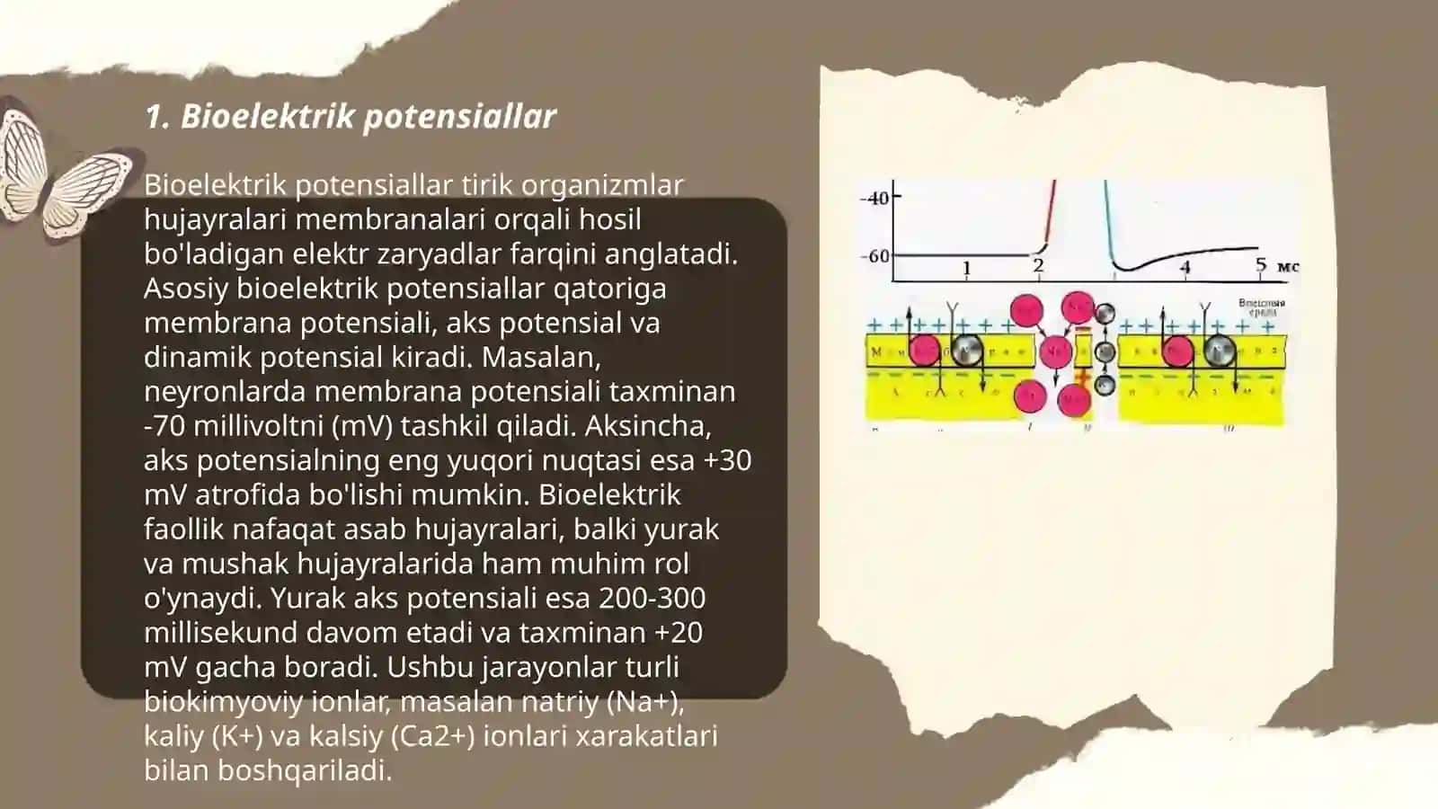 Qoʻzgʻaluvchan toʻqimalarda bioelektrik hodisalar 3