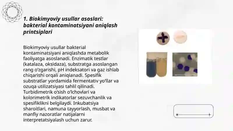 Biologik ashyoni bakterial kontaminasiyasini biokimyoviy usulda aniqlash 3