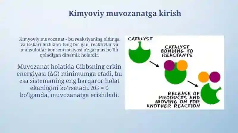 Kimyoviy tenglik asoslari gibbs erkin energiyasi qaytar va qaytmas reaksiyalar 3