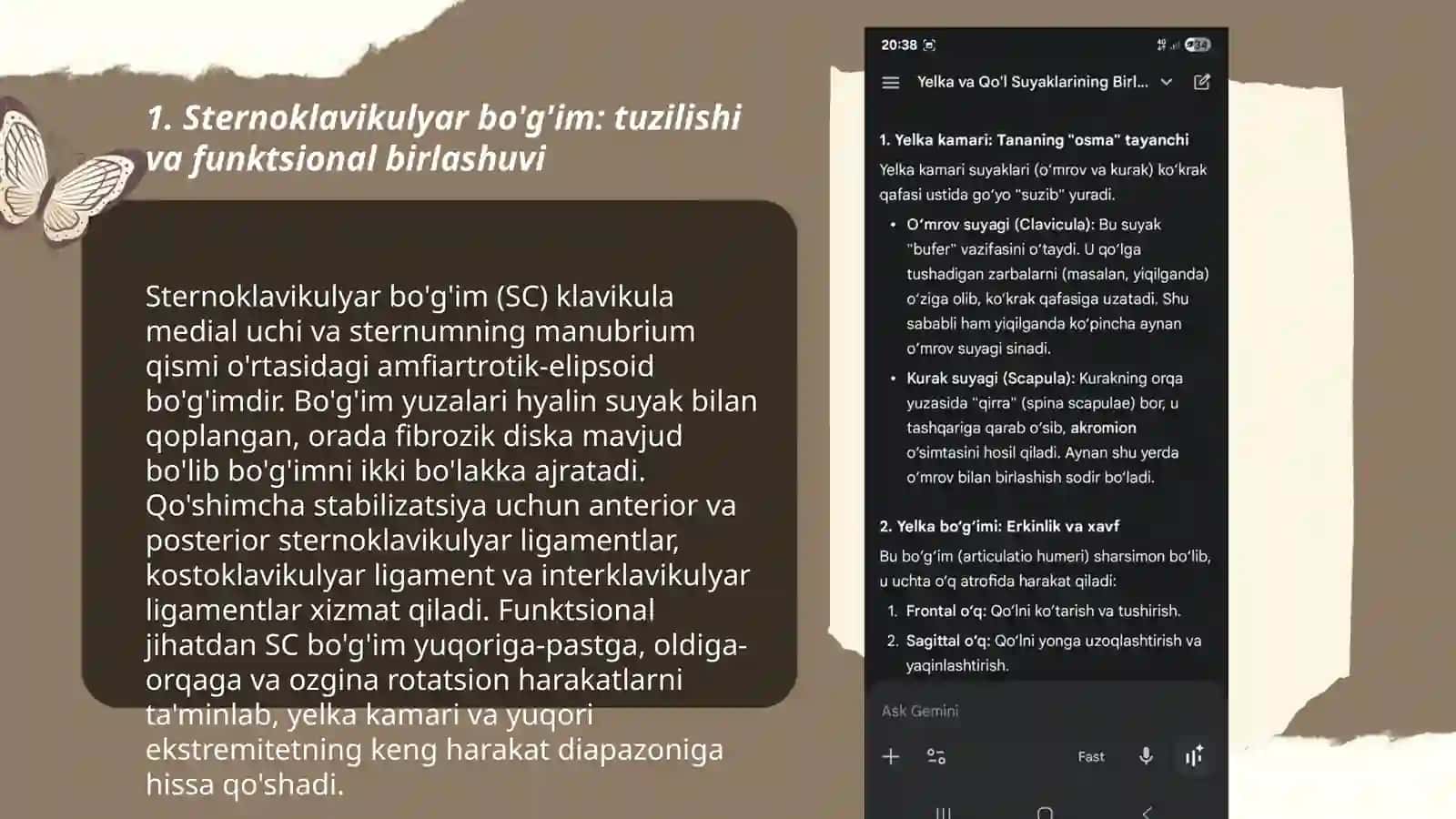 Suyaklarining birlashuvi 3