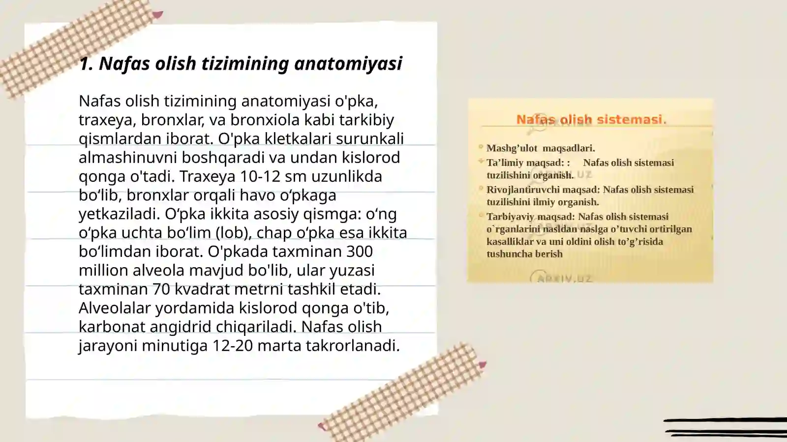 Nafas olish sistemasi fizalogiyasi 3