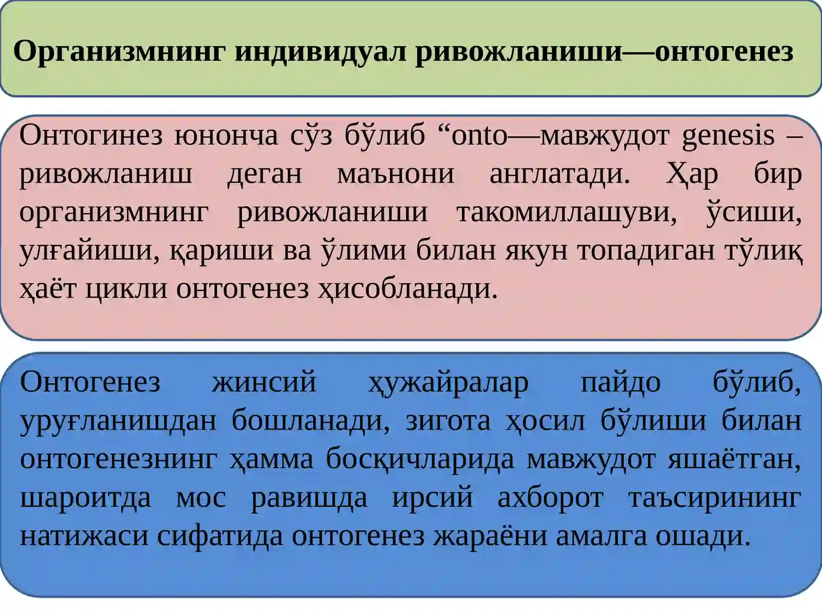 Онтогенез 3