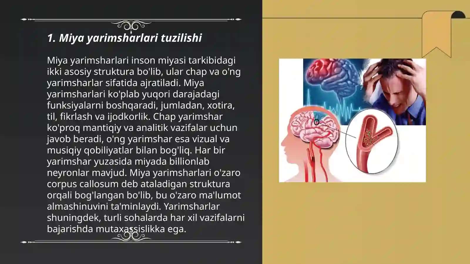 Bosh miya katta yarimsharlari fiziologiyasi 3