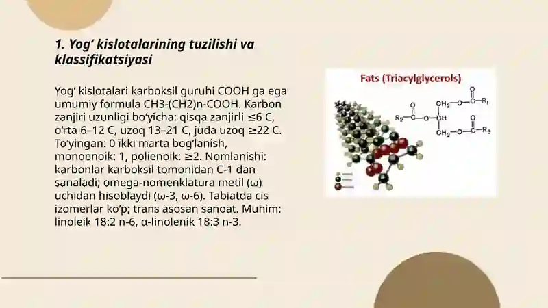 Lipid tabiatli moddalarning metabolizmi 3