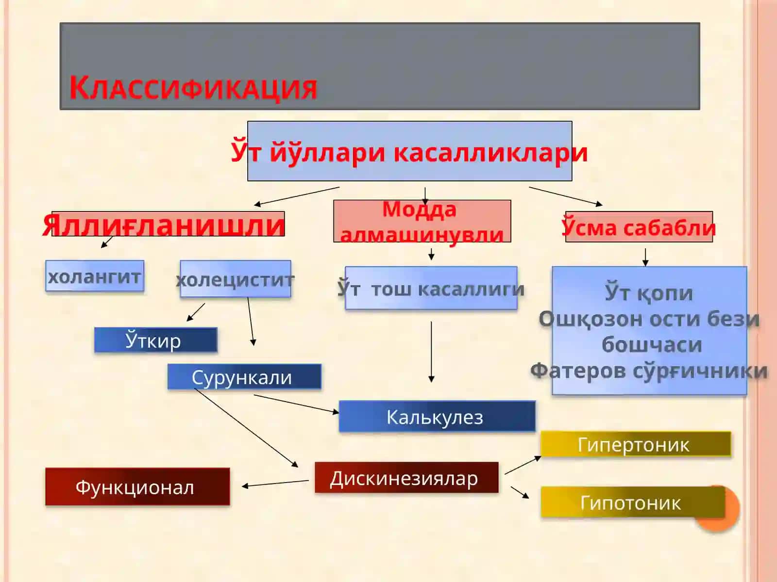 O‘t yo‘llari diskineziyasi 3