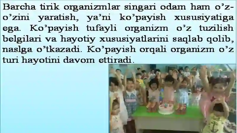 8-sinf 3