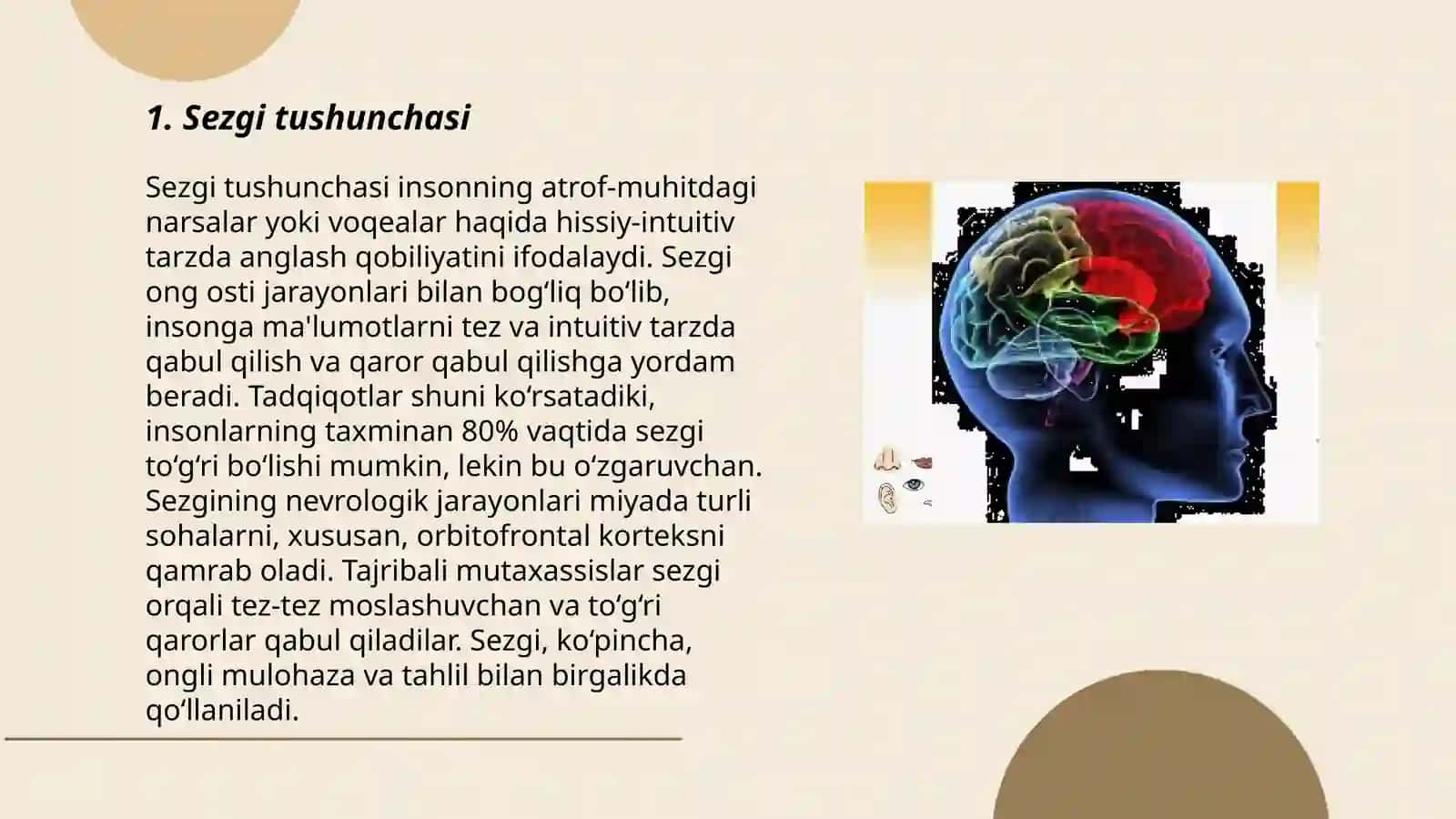 Sezgi haqida tushuncha. Nerv fiziologik asosi 3