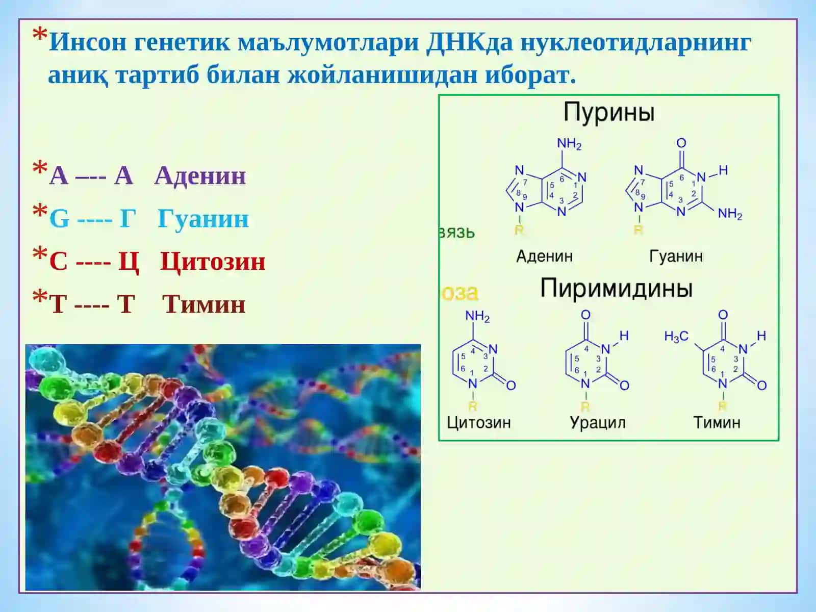 Инсон геноми 3