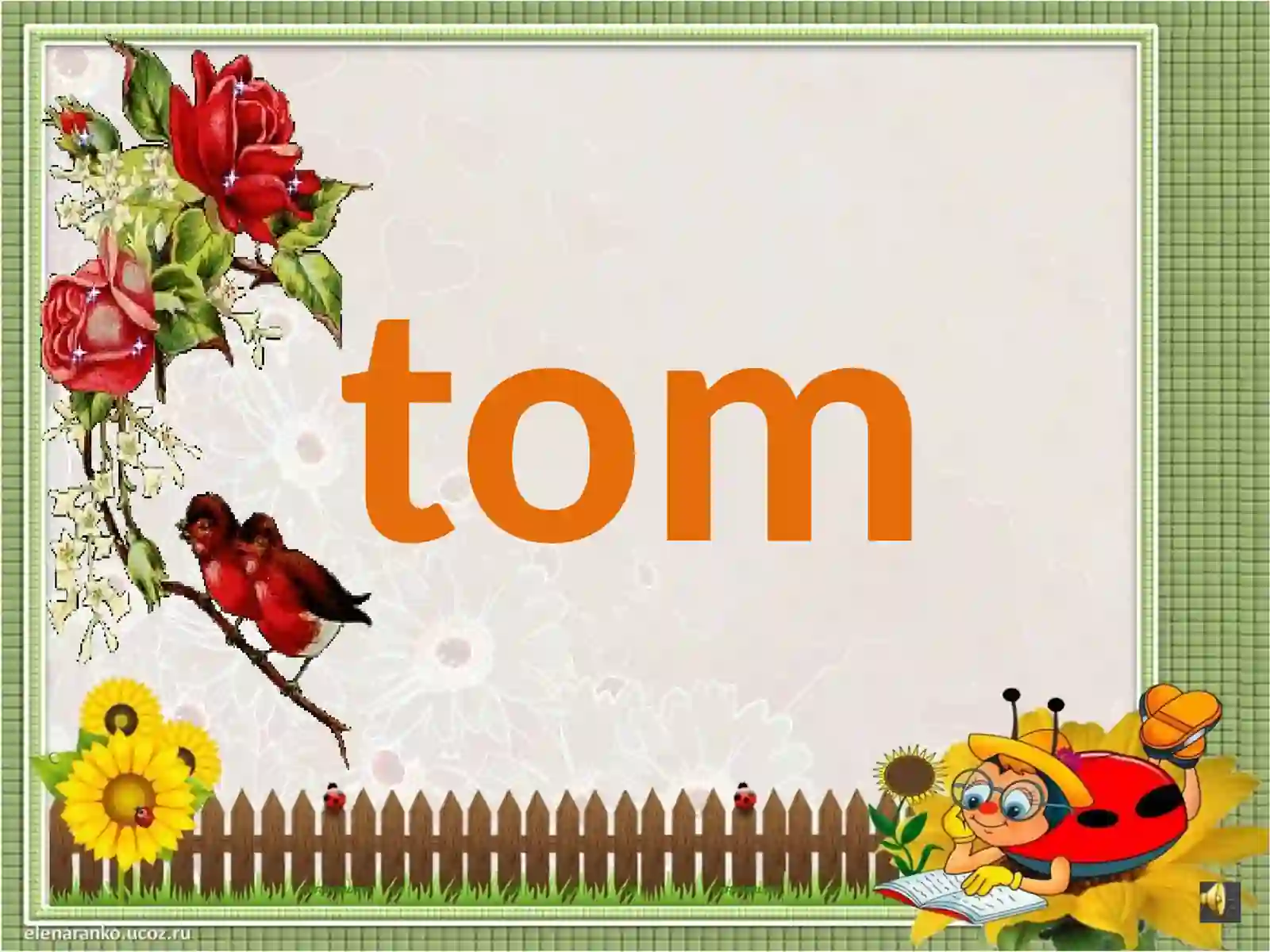 Tommit-ti 3