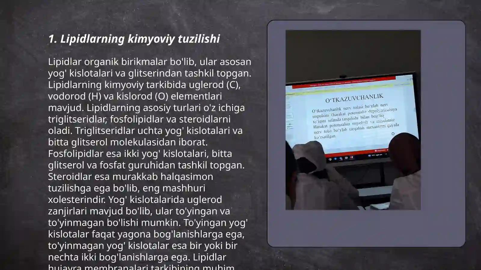 Lipidlat 3