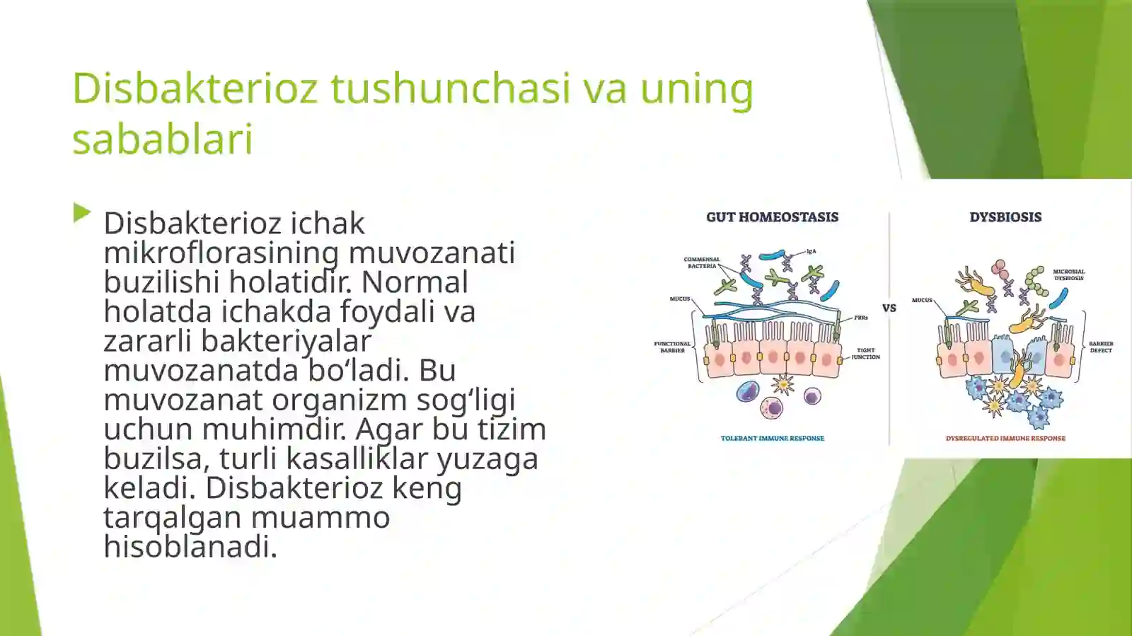 Disbakterioz tushunchasi va uning sabablari 3