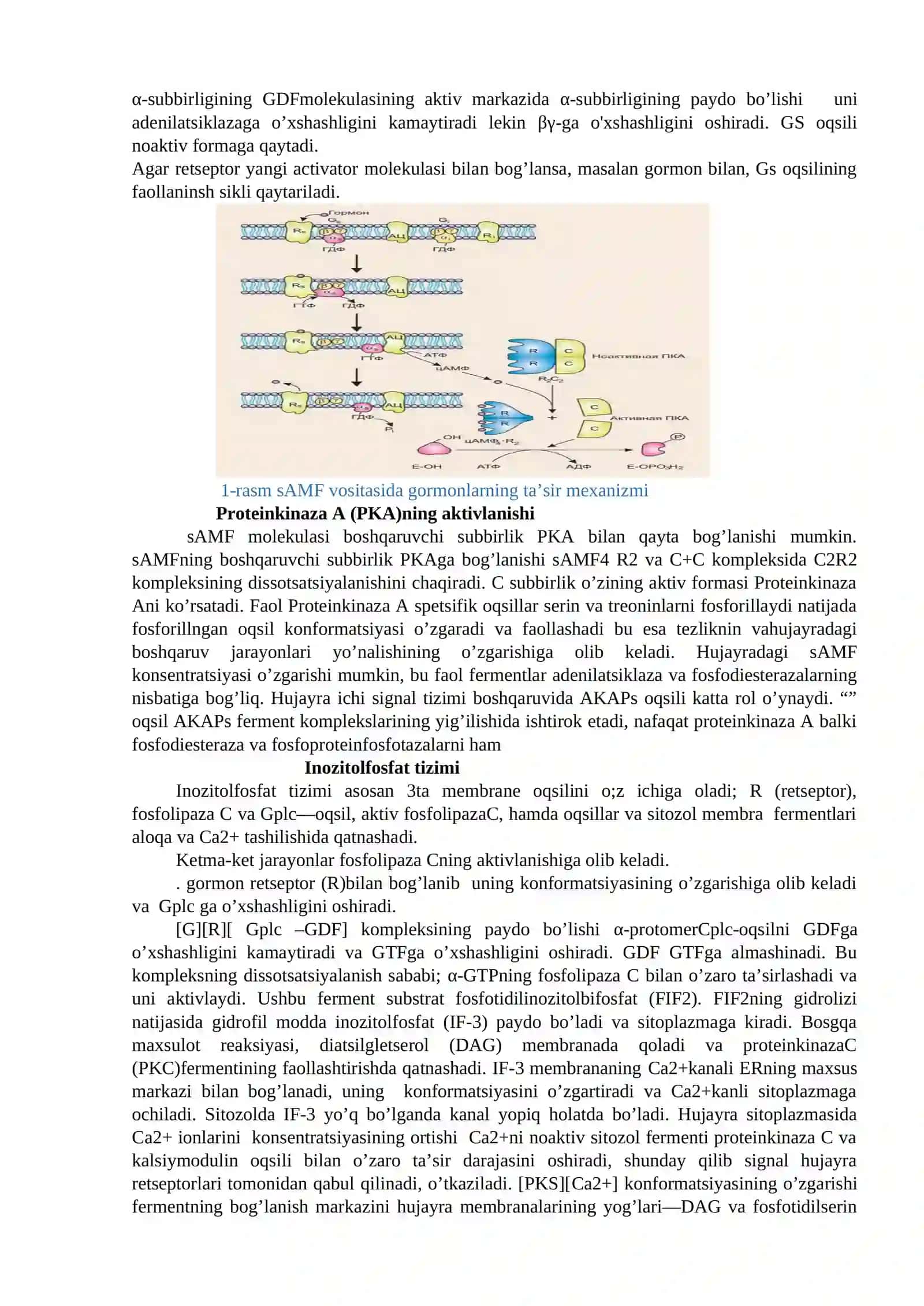 ENDOKRIN TIZIM BIOKIMYOSI 3