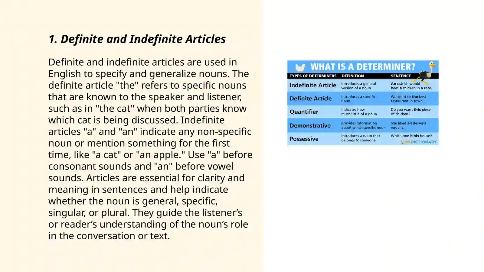 Articles and Determiners 3