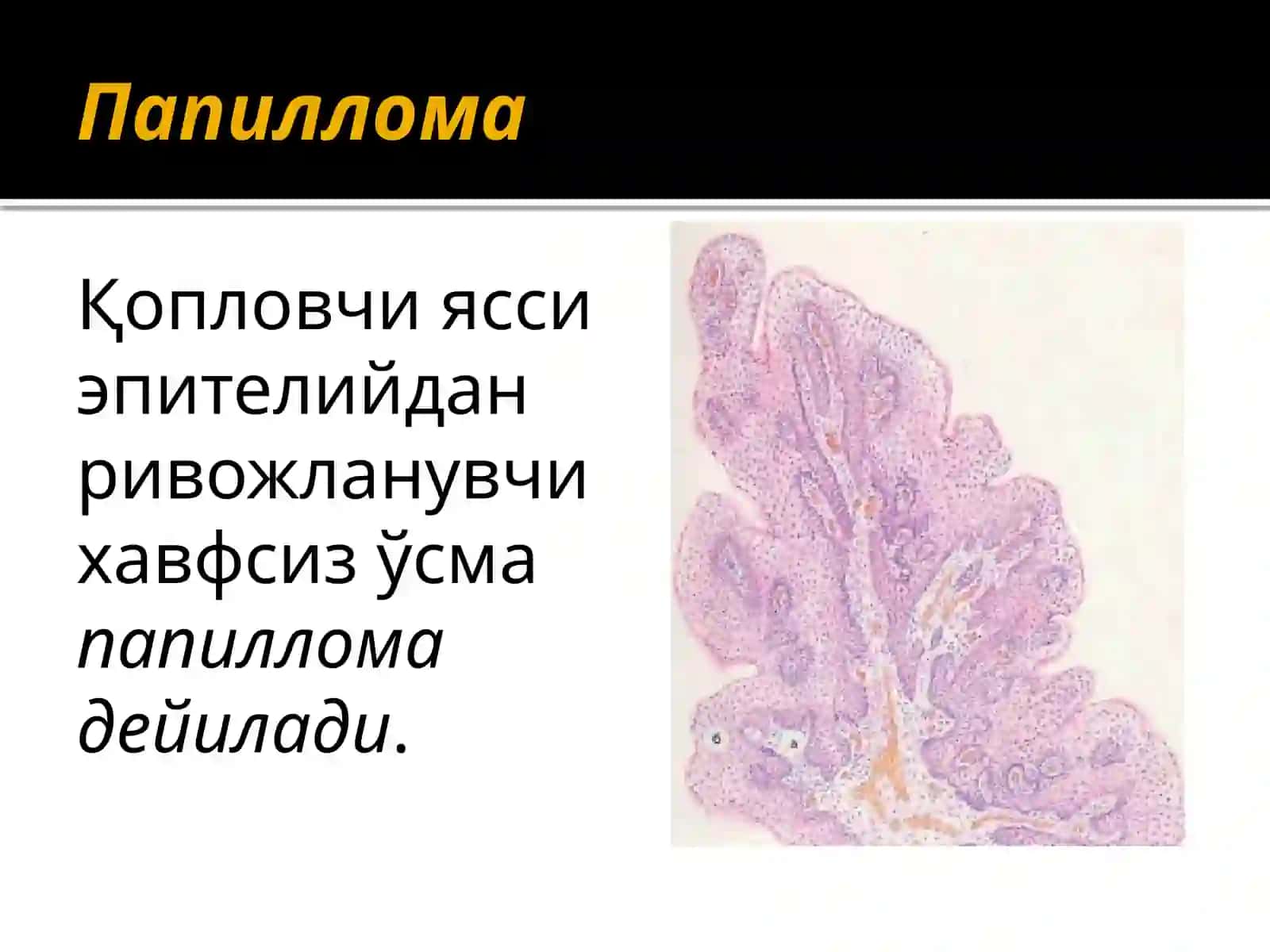 Хавфсиз Эпителиал ва Мезенхимал усмалар 3