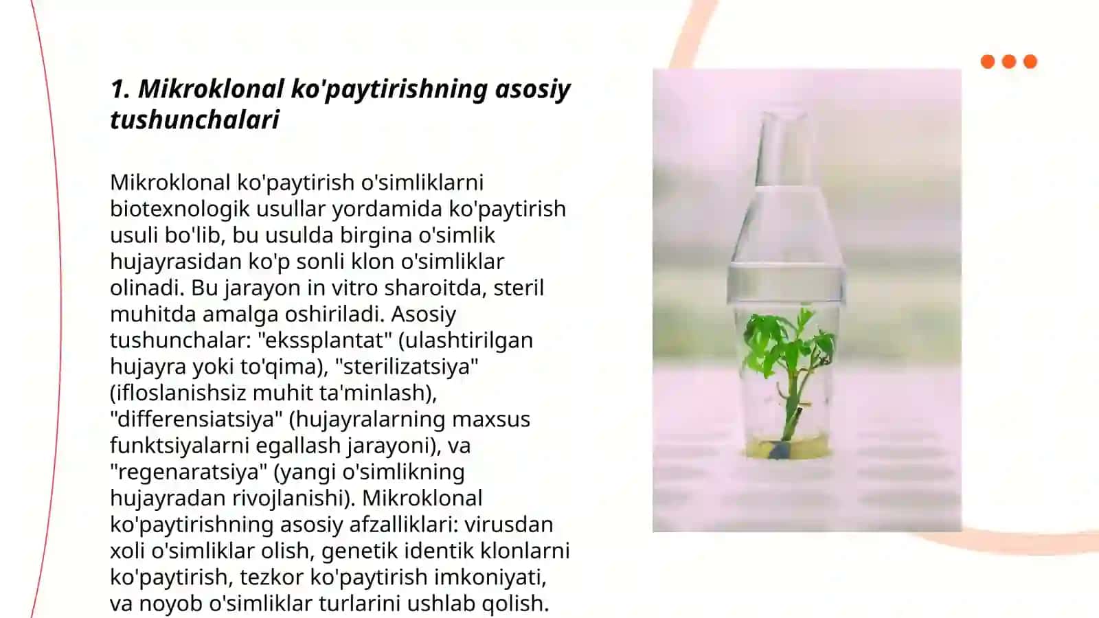 O'simliklarni Mikroklonal Ko'paytirish Texnologiyasi 3