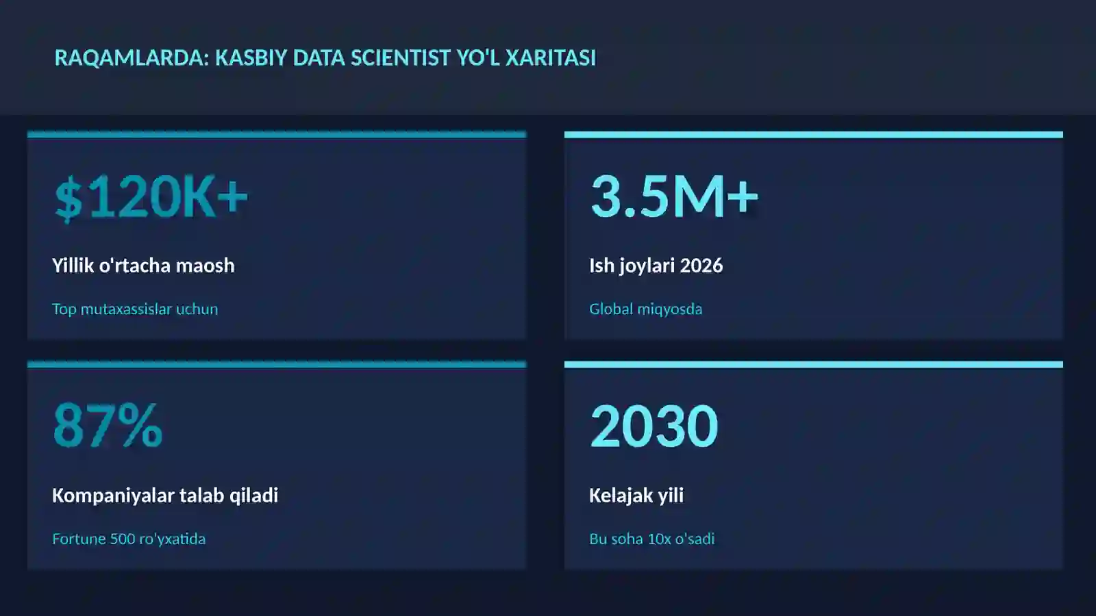 Kasbiy data scientist yo'l xaritasi 3