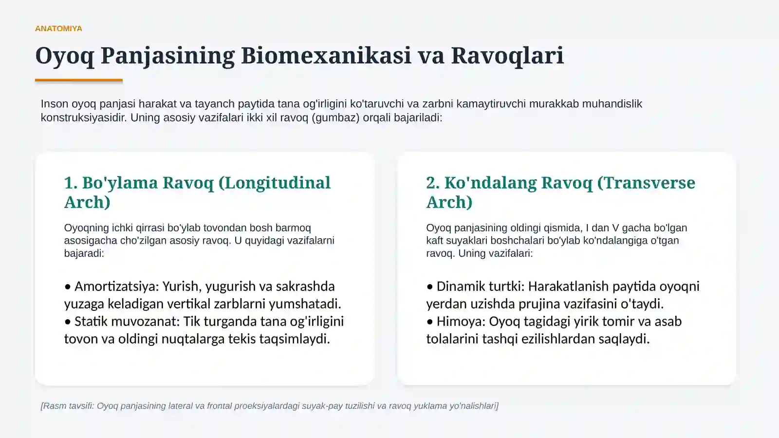 Oyoq panjasi statik deformatsiyalari | 15 slaydli tibbiy taqdimot 3