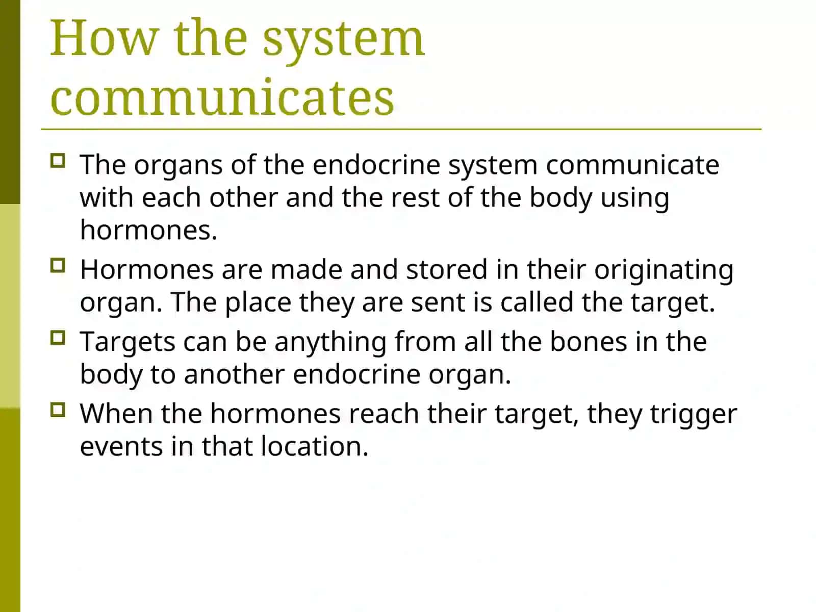 The Endocrine System 3