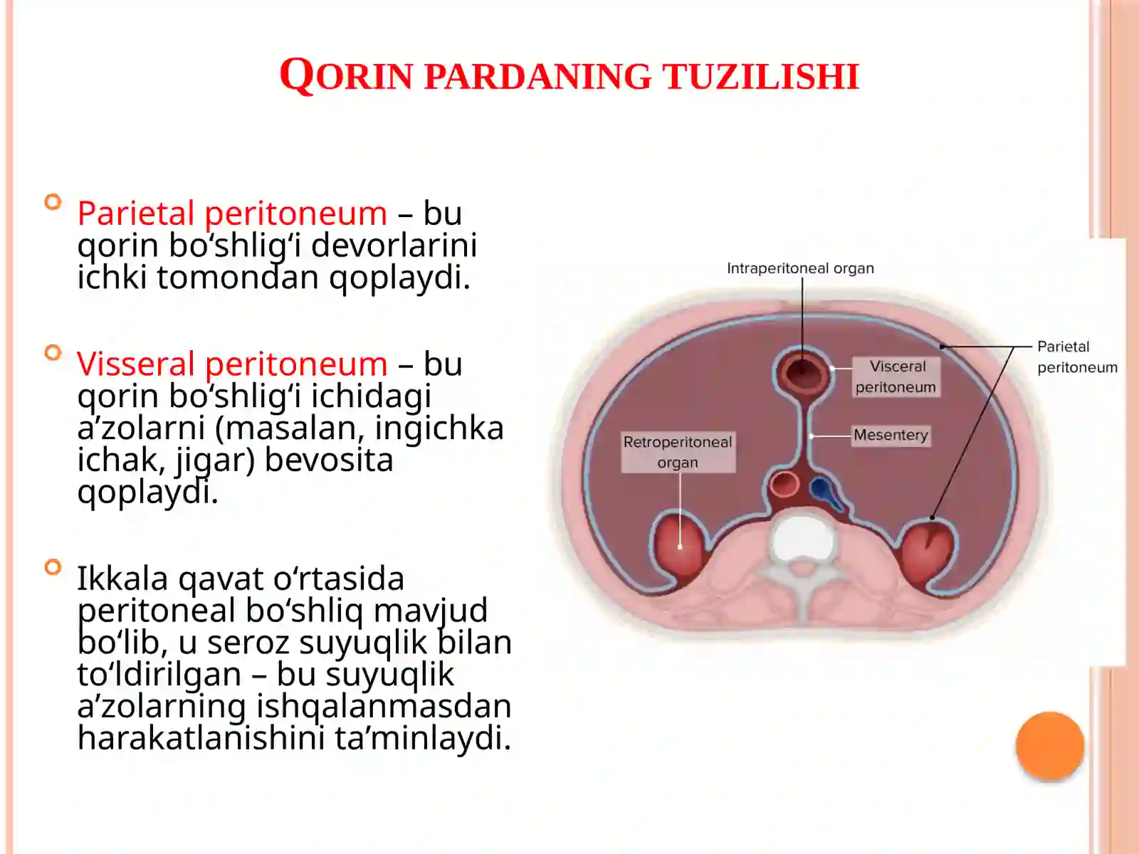Qorinparda 3