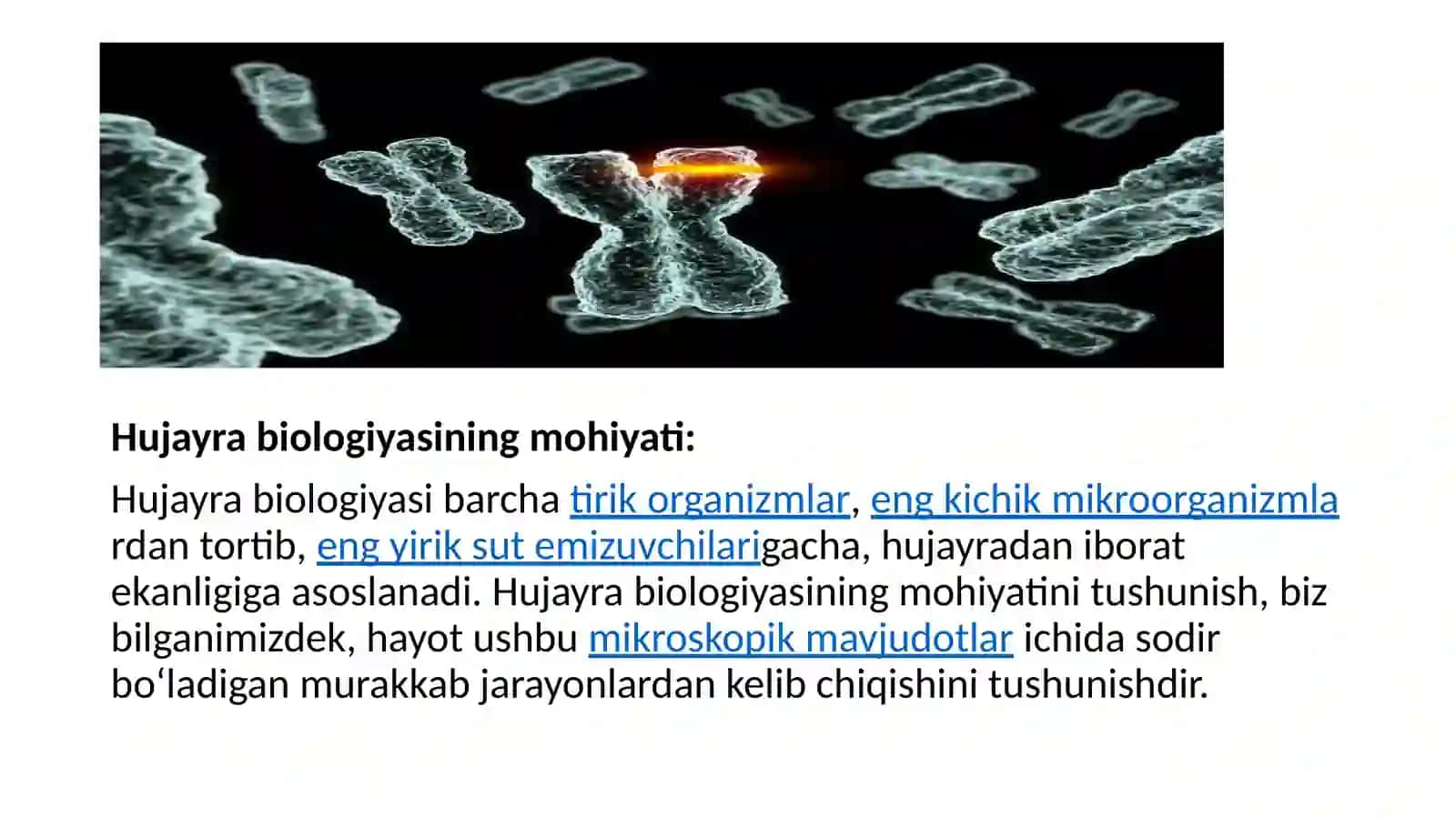 Hujayrabiologiyasi. Genterapiyasi.Klonlar,klonlashtirish 3