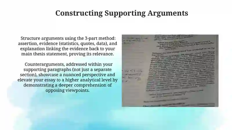 Agree disagree essays 3