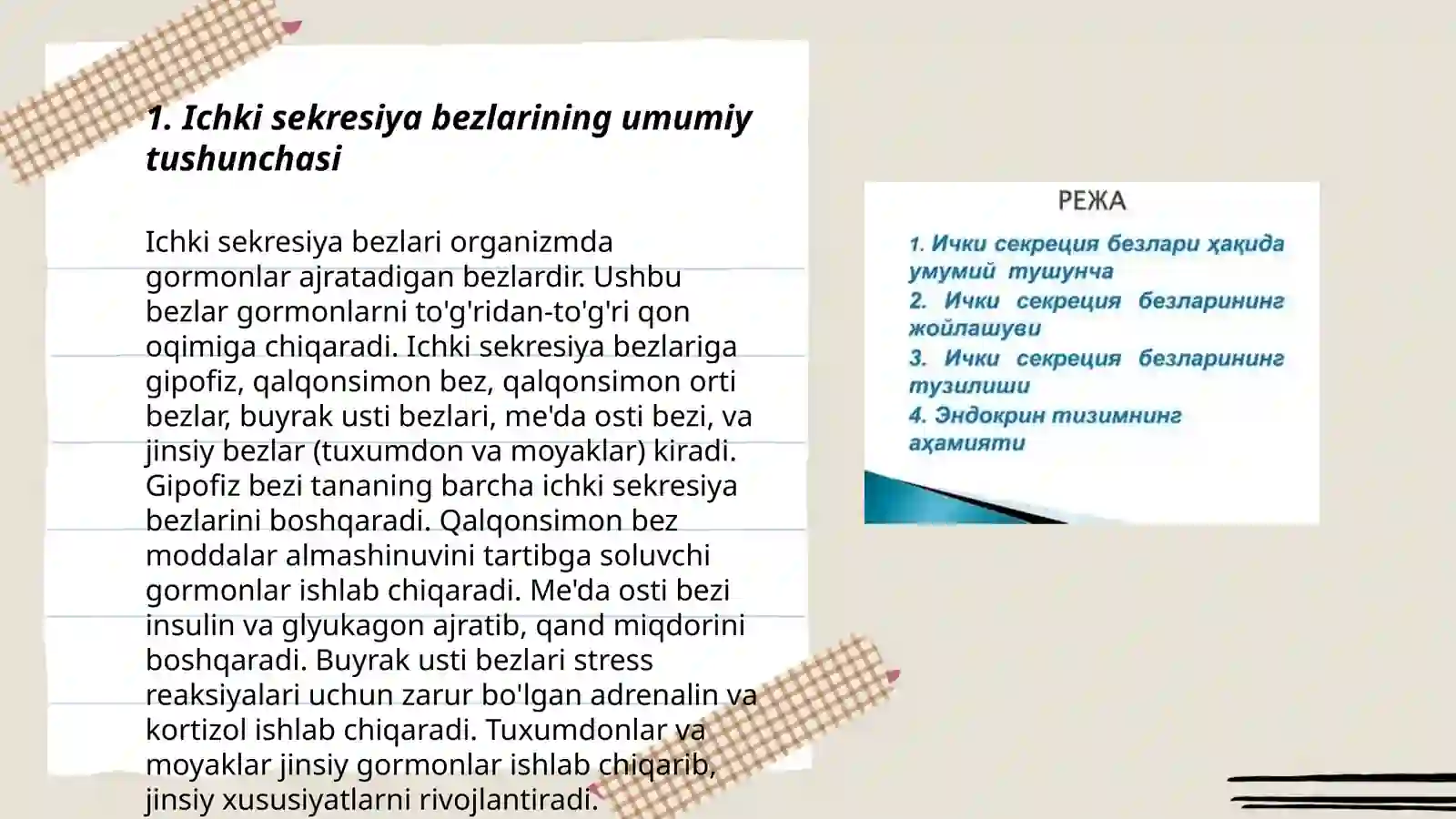 Ichki sekresiya bezlari haqida umumiy ma’lumot 3