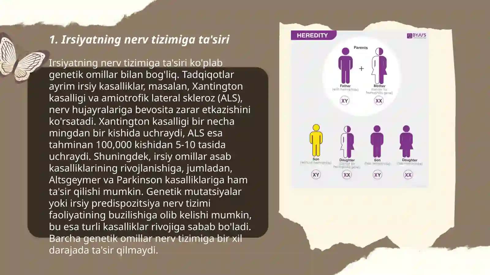 Irsiyat va irsiy kasalliklar. Nerv tizimining ahamiyati va gugiyenasi 3